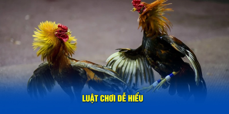 Luật chơi dễ hiểu