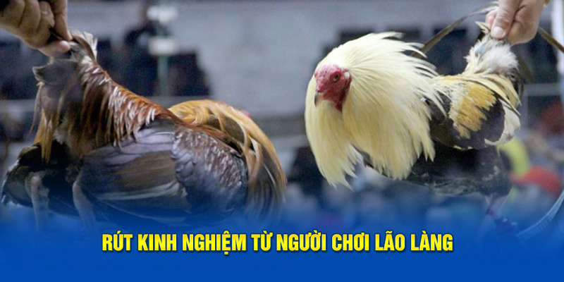 Rút kinh nghiệm từ người chơi lão làng