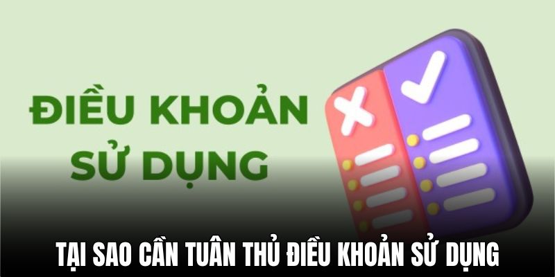 Lý do cần tuân thủ điều khoản tại nhà cái 99OK