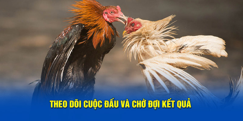 Theo dõi cuộc đấu trực tuyến và chờ đợi kết quả