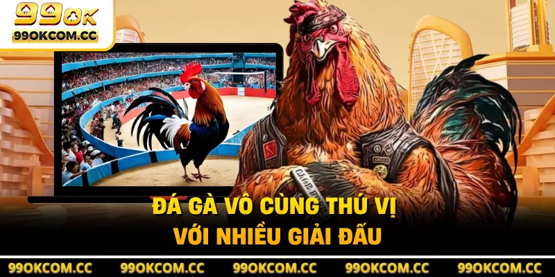 Đá gà vô cùng thú vị với nhiều giải đấu