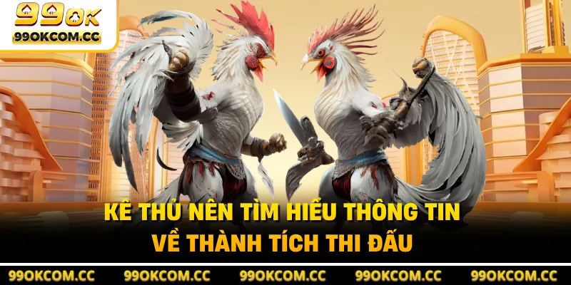 Kê thủ nên tìm hiểu thông tin về thành tích thi đấu