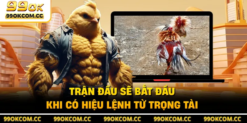 Trận đấu sẽ bắt đầu khi có hiệu lệnh từ trọng tài